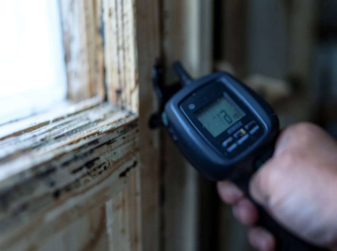 Moisture Inspection And Documentation in Gravity, IA